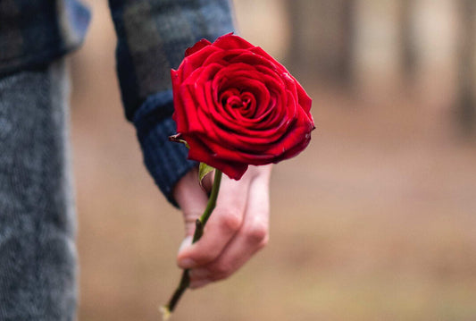 Hungarian Heartbeats – Valentine's Day Special: "Hogyan tudnék élni nélküled"