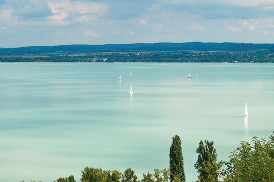 Learn Hungarian this Summer: Language, Culture, and Connection